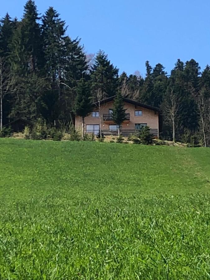 Ferienhaus Am Waldrand Von Egg Bregenzer Wald Exterior photo